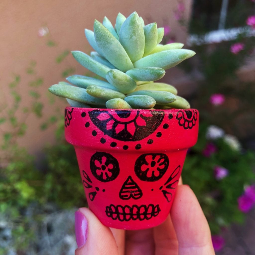 Day of the dead flower pot succulent holder